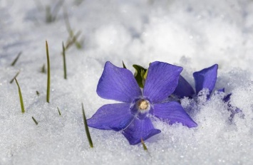 Украину засыпало снегом - фото и видео неожиданного сюрприза погоды
