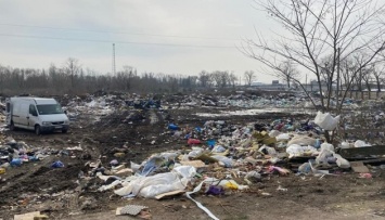В Житомирской области обнаружили стихийные свалки - земля загрязняется химикатами
