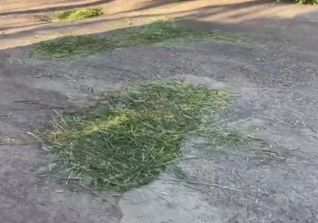 Новая технология: в Днепропетровской области дорогу "отремонтировали" скошенной травой