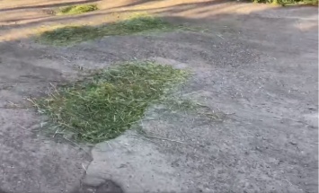 Ямы на дорогах залатали травой под Днепром - ноу-хау попало на видео