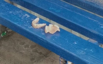 На одной из остановок Херсонщины кто-то потерял зубы