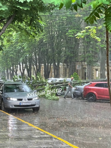 Буря в Днепре: падают деревья, остановились трамваи (фото)
