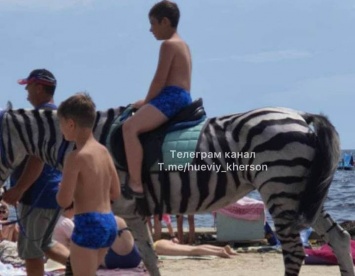 В Скадовске лошадь перекрасили в зебру ради заработка на пляже - одни катались, другие возмущались (ФОТО)