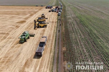 Под Харьковом с поля украли пшеницу