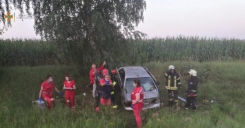 Под Киевом Nisan влетел в дерево: спасатели деблокировали двоих пострадавших