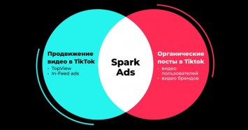 TikTok запустил формат нативной рекламы для брендов Spark Ads