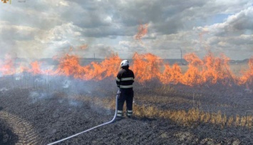 ДСНС объявила самый высокий уровень пожарной опасности