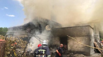 Авиакатастрофа на Прикарпатье: тела жертв отправили на экспертизу