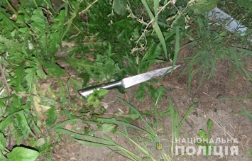 В Броварах местная жительница ударила ножом в своего гражданского мужа
