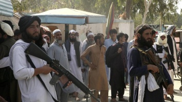 Наркоторговля ни при чем: раскрыты источники доходов талибов