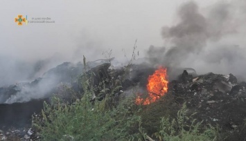 Масштабный пожар на стихийной мусорной свалке возле Чернобаевки ликвидирован