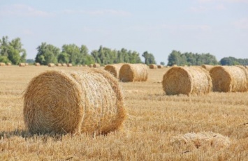 Аграрии Харьковщины собрали более 3,5 млн тонн зерна