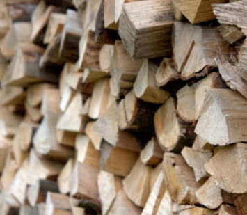Житель Харьковской области продавал несуществующие дрова