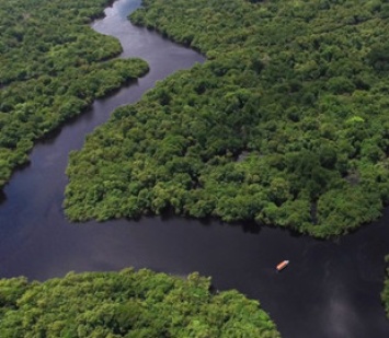 Ученые планируют следить за Амазонкой из космоса