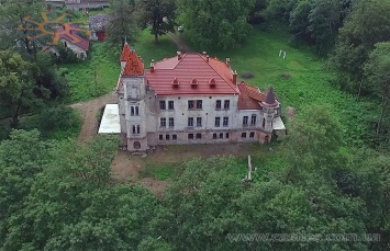 Во Львовской области три семьи выкупили заброшенный дворец и восстанавливают его (ВИДЕО)