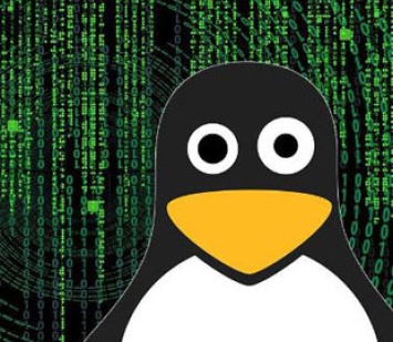 Активность вредоносов для Linux выросла на 35% в 2021 году