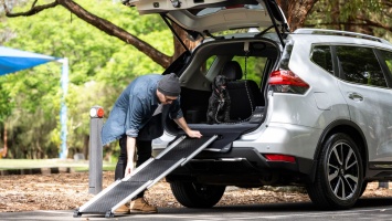 Nissan представил фирменные аксессуары для путешествий с собаками