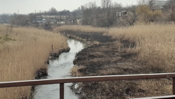 Камыши, доски и фекальные воды: в каком состоянии находится река Саксагань в Кривом Роге