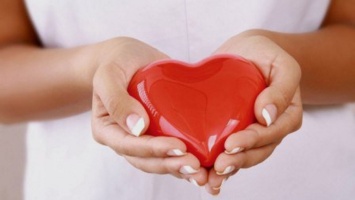 Влюбленные пары Кривого Рога могут стать донорами в День святого Валентина
