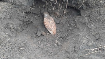 Под Кривым Рогом возле железнодорожного переезда нашли боевой снаряд