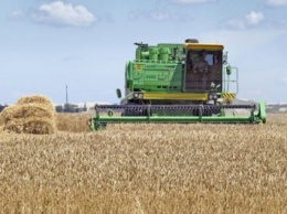 Агропроизводители больше всего страхуют озимую пшеницу и рапс