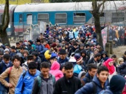 Австрия будет рассматривать просьбы об убежище в ускоренном порядке