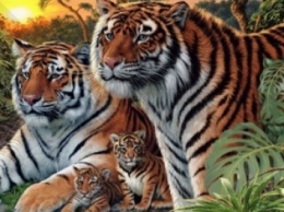 Фотозагадка дня: найди 16 тигров на картинке (ФОТО)
