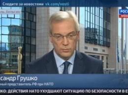 В России запрещают Украине и Грузии "лелеять надежду" о вступлении в НАТО