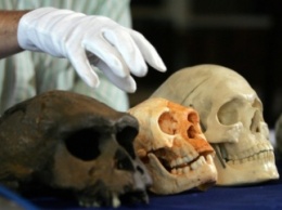 Индонезийские «хоббиты» оказались на десятки тысяч лет старше, чем считалось