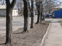Славянск продолжают убирать: идет двухмесячник по санитарной очистке города