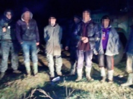 Группы искателей янтаря задержали в Житомирской области