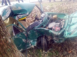 Автомобиль влетел в дерево в Хмельницкой области, водитель погиб