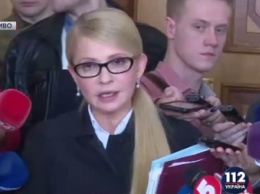 Назначения министров должны происходить путем открытых праймериз, - Тимошенко