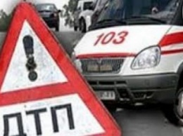 В Чудновском районе перевернулся автомобиль: водитель не выжил