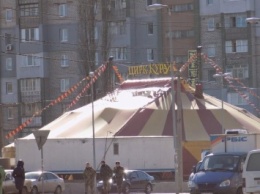 В Николаеве зарегистрировали петицию о строительстве цирка