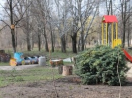 В парке Мечты Славянска появились новые деревья и куст