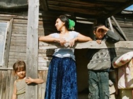 В поселке Плеханово под Тулой начали собирать подписи за выселение цыган