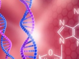 Ученые обнаружили «гены смерти», сокращающие жизнь человека на 4 года