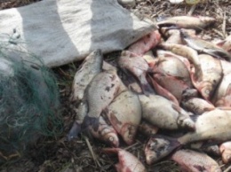 Кременчугские водные копы ловят браконьеров с первых дней нереста (ФОТО)