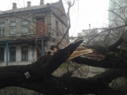Мариупольские спасатели и бригады РЭС «ДТЭК» ликвидировали последствия штормового ветра (ФОТО)