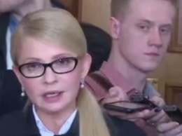 Посол США назвал позицию Тимошенко в коалиционном процессе деструктивной
