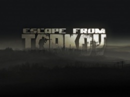 Геймплейное видео российского шутера Escape from Tarkov впечатлило американских экспертов