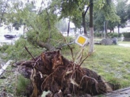 В городе на Полтавщине буря повалила дерево на детскую площадку