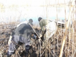 Тело мужчины достали из пруда в Киевской области