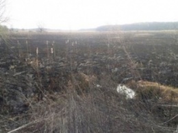 В Ружине из-за детских шалостей сгорело 4,5 гектара сухой травы