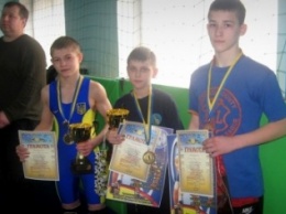 Спортсмены из Славянска завоевали медали на областном чемпионате по греко-римской борьбе