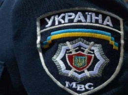 В Ровно правоохранители изъяли янтарь на полмиллиона гривен (ФОТО)