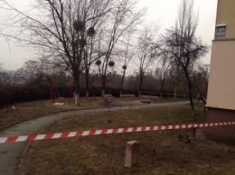 В Донецкой обл. вследствие взрыва на собственном огороде пострадал мужчина