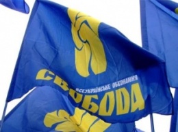 В Черновецкой области неизвестные с огнестрельным оружием напали на депутата "Свободы"