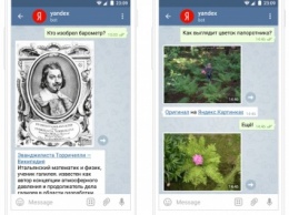 «Яндекс» запустил поискового бота в Telegram